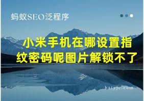 小米手机在哪设置指纹密码呢图片解锁不了