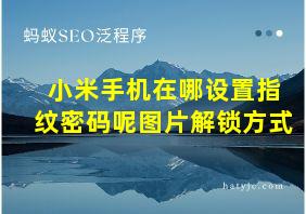 小米手机在哪设置指纹密码呢图片解锁方式