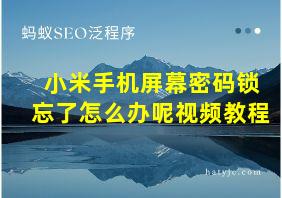 小米手机屏幕密码锁忘了怎么办呢视频教程