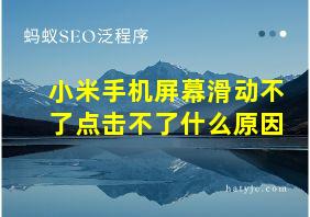 小米手机屏幕滑动不了点击不了什么原因