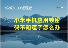 小米手机应用锁密码不知道了怎么办