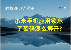 小米手机应用锁忘了密码怎么解开?