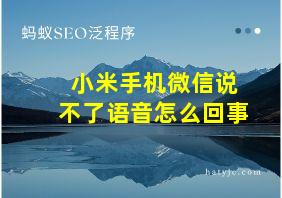 小米手机微信说不了语音怎么回事