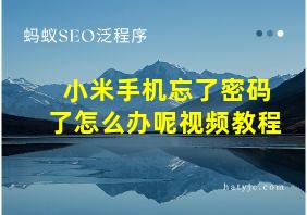 小米手机忘了密码了怎么办呢视频教程