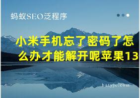 小米手机忘了密码了怎么办才能解开呢苹果13