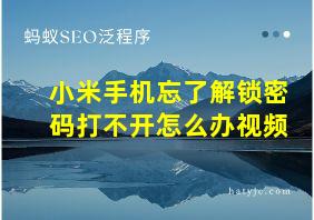 小米手机忘了解锁密码打不开怎么办视频