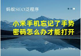 小米手机忘记了手势密码怎么办才能打开