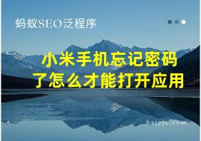 小米手机忘记密码了怎么才能打开应用