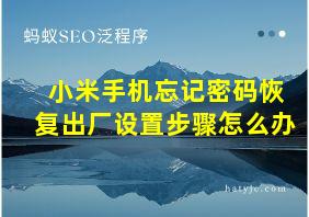 小米手机忘记密码恢复出厂设置步骤怎么办