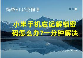 小米手机忘记解锁密码怎么办?一分钟解决