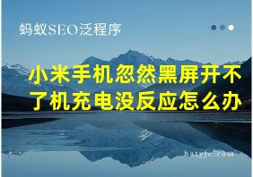 小米手机忽然黑屏开不了机充电没反应怎么办