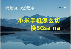 小米手机怎么切换5Gsa+na