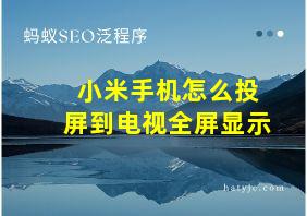 小米手机怎么投屏到电视全屏显示