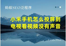 小米手机怎么投屏到电视看视频没有声音