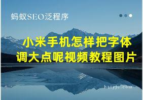 小米手机怎样把字体调大点呢视频教程图片