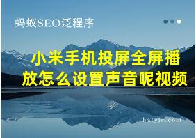 小米手机投屏全屏播放怎么设置声音呢视频