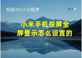 小米手机投屏全屏显示怎么设置的