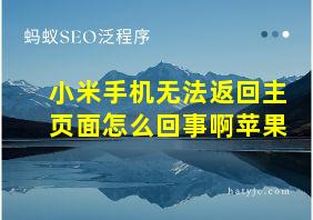 小米手机无法返回主页面怎么回事啊苹果