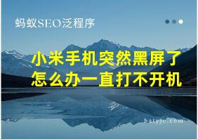 小米手机突然黑屏了怎么办一直打不开机