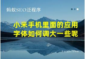 小米手机里面的应用字体如何调大一些呢