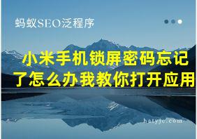 小米手机锁屏密码忘记了怎么办我教你打开应用