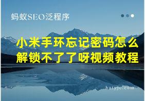 小米手环忘记密码怎么解锁不了了呀视频教程