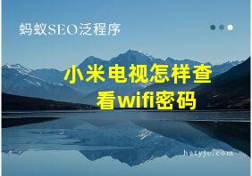 小米电视怎样查看wifi密码