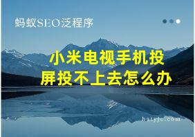 小米电视手机投屏投不上去怎么办