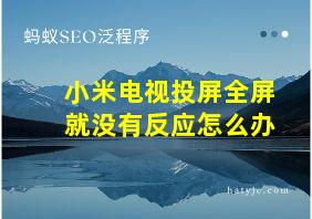 小米电视投屏全屏就没有反应怎么办