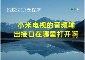 小米电视的音频输出接口在哪里打开啊