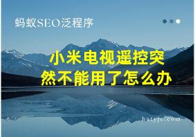 小米电视遥控突然不能用了怎么办