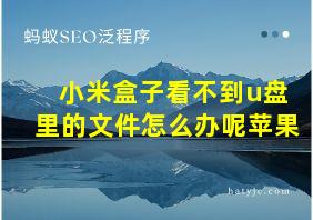 小米盒子看不到u盘里的文件怎么办呢苹果