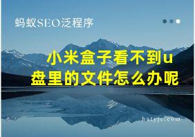 小米盒子看不到u盘里的文件怎么办呢