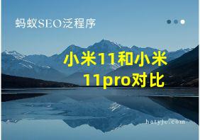 小米11和小米11pro对比