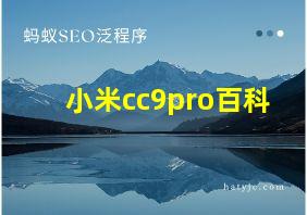 小米cc9pro百科