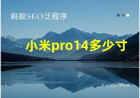 小米pro14多少寸