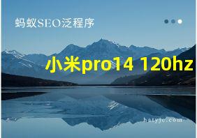 小米pro14 120hz