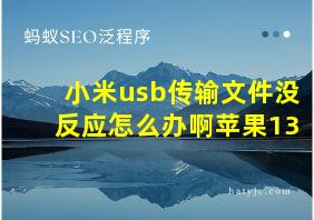 小米usb传输文件没反应怎么办啊苹果13