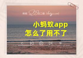 小蚂蚁app怎么了用不了