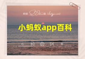 小蚂蚁app百科