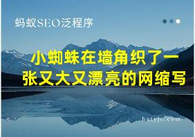 小蜘蛛在墙角织了一张又大又漂亮的网缩写