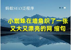 小蜘蛛在墙角织了一张又大又漂亮的网 缩句