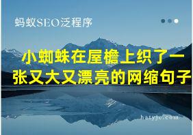 小蜘蛛在屋檐上织了一张又大又漂亮的网缩句子