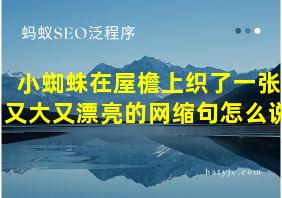 小蜘蛛在屋檐上织了一张又大又漂亮的网缩句怎么说