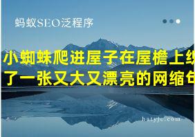 小蜘蛛爬进屋子在屋檐上织了一张又大又漂亮的网缩句