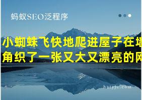 小蜘蛛飞快地爬进屋子在墙角织了一张又大又漂亮的网