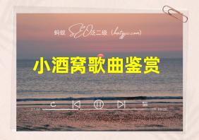 小酒窝歌曲鉴赏