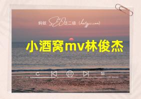 小酒窝mv林俊杰