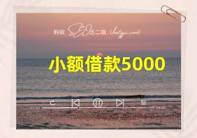 小额借款5000