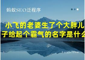 小飞的老婆生了个大胖儿子给起个霸气的名字是什么